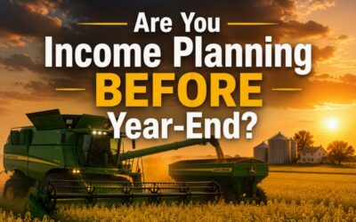 Are you Income Planning BEFORE Year-End?