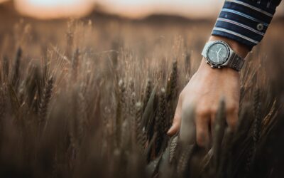 Timing & Strategies for Farm Income