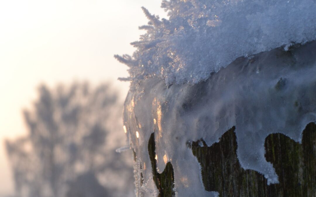 The Estate Freeze