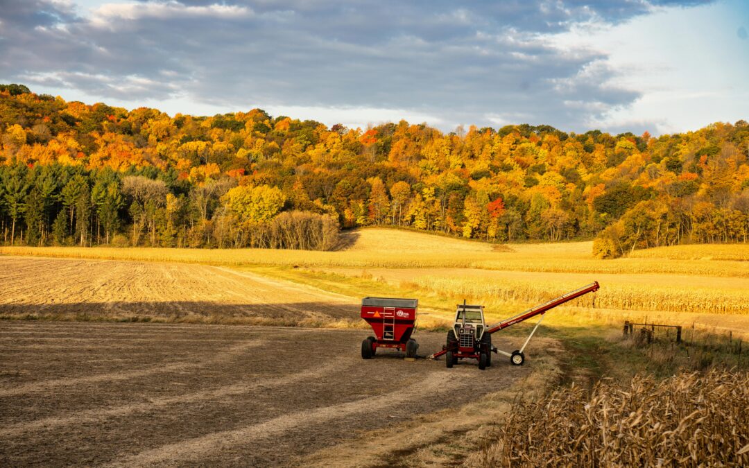 Farm Transition: Questions & Expectations