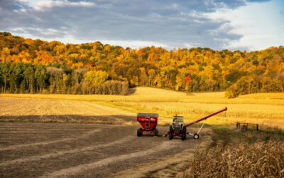 Farm Transition: Questions & Expectations